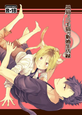 Kuroneko to Mikeneko no Shinkon Seikatsuroku cover