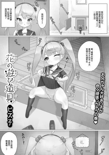 花の遊び道具 cover