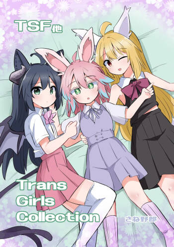 Trans Girls Collection cover