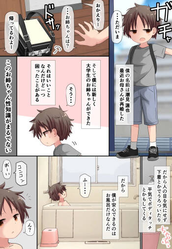 Muchi Onee-san to Shishunki no Shounen cover