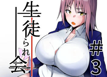 Seito Rare Kai #3 cover