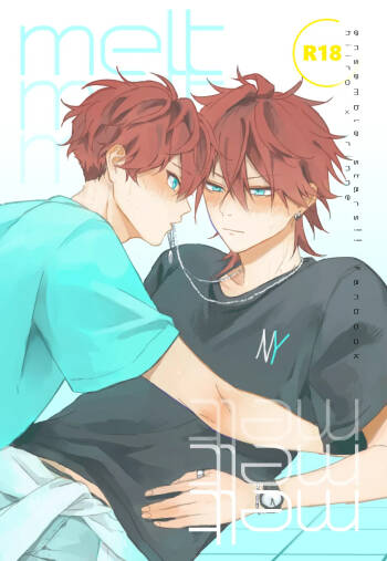melt cover