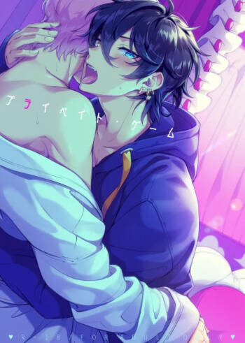 Private Game cover