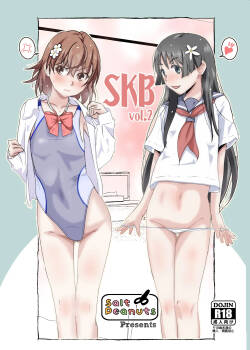 [Salt Peanuts (Niea)] SKB vol. 2 (Toaru Kagaku no Railgun) [Chinese] [流氓兔机翻汉化] [Digital]