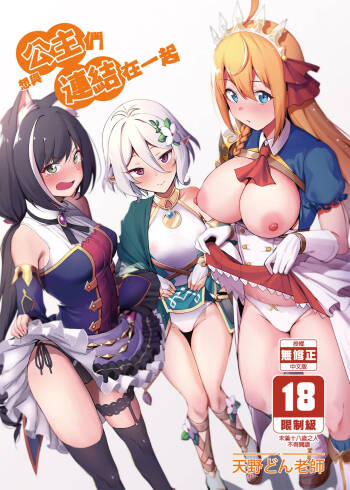 Princess to Connect Shitai! cover