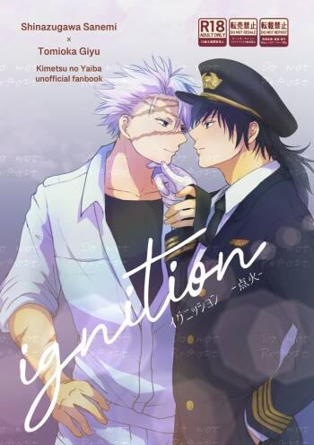 ignition cover