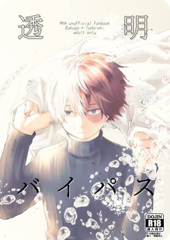 透明バイパス cover