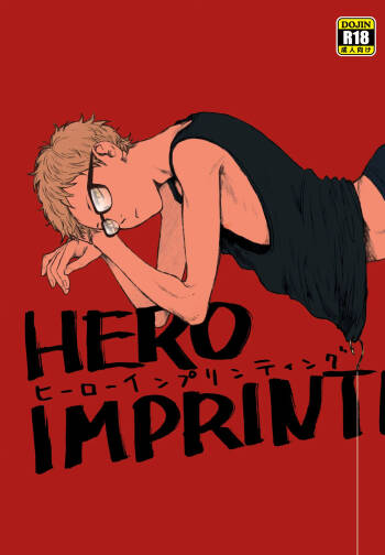 HERO IMPRINT cover