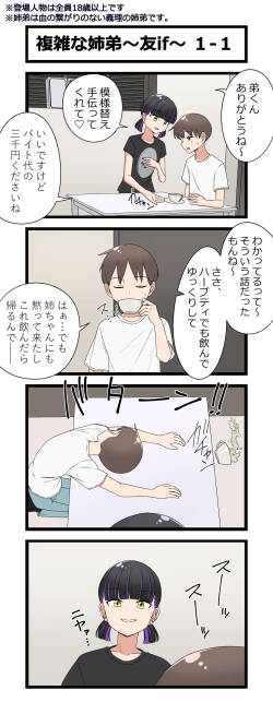複雑な姉弟～友if～