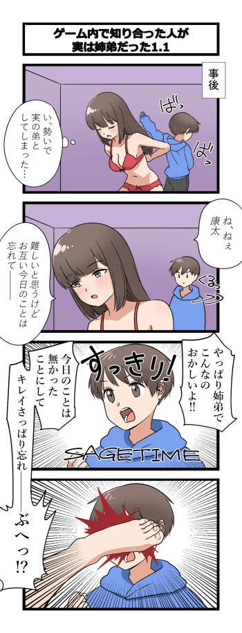 複雑な姉弟 cover