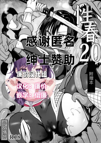 Gakkou de Seishun! 20 Omakebon cover