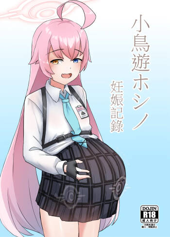 小鳥遊ホシノ 妊娠記録 數位版現已上架 cover