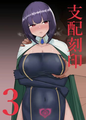 Shihai Kokuin 3 / Domination seal 3 cover