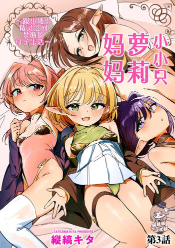 Chiccha na Elf Mama ~Teishinchou Elf to Kindan no Boshi Seikatsu~ Ch. 3 cover