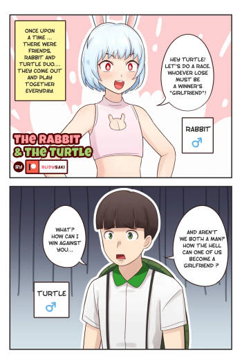 The Rabbit and the Turtle cover