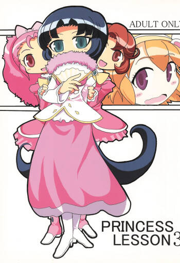 PRINCESS LESSON 3 cover