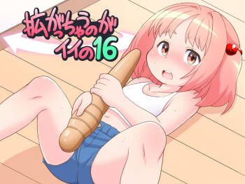 Hirogacchau no ga ii no 16 cover