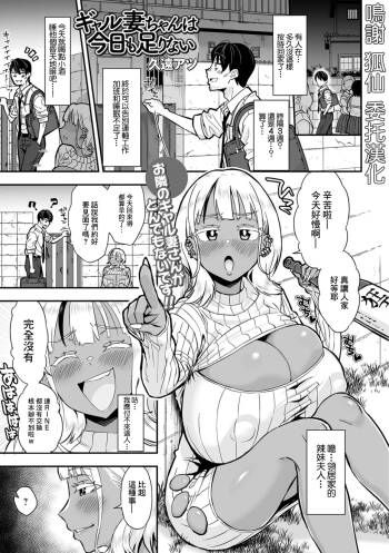 ギャル妻ちゃんは今日も足りない cover