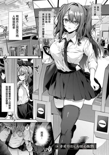 Ookami-kun wa Shinpaishou cover
