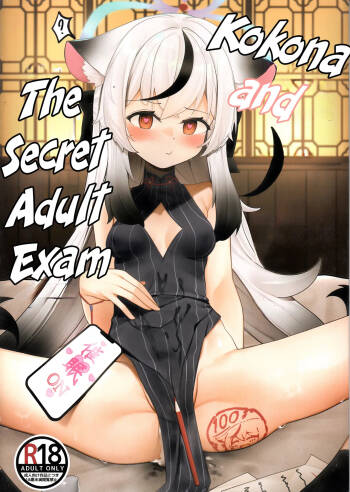 Kokona to Otona Himitsu no Hoshuu | Kokona and The Secret Adult Exam cover