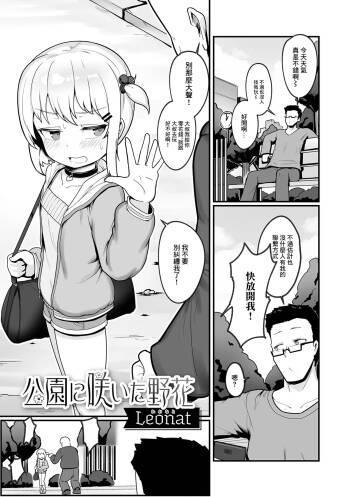 公園に咲いた野花 cover