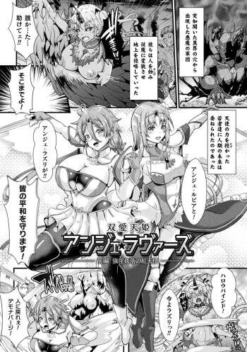 双愛天姫アンジェ・ラヴァーズ cover