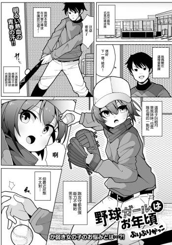 野球ガールはお年頃 cover