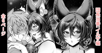 Danchou Touban: Ilsa Hen cover