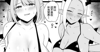 Isshoukenmei Tameta Keikenchi o Toorisugari no Gal Succubus ni Isshun de Suitsukusareru Yuusha-sama cover