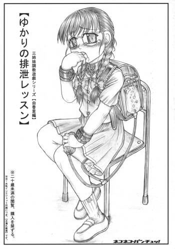 Yukari no Haisetsu Ressun san Shimai Choukyou Yuugi Shiriizu cover