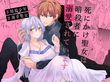 shinikake seijo wa asashin ni dekiai sa rete imasu | 濒死圣女被暗杀者溺爱 cover