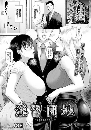 Inshuu Danchi -episode 3- cover
