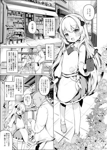 Kawaii Nora wa Jinsei o Kawareteiru. cover