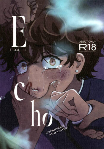 Echo cover