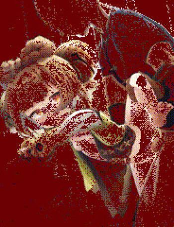 NAKK part2 cover