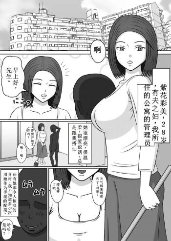 变成性爱人偶的女人们 cover