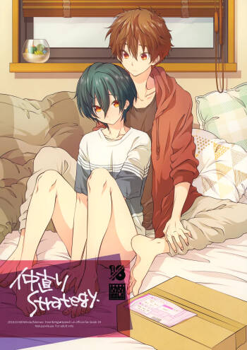 Nakanaori Strategy cover