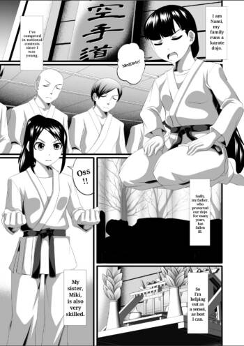 Karate cover