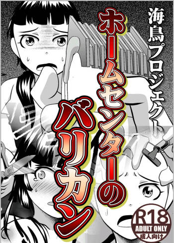 Shoplifter cover