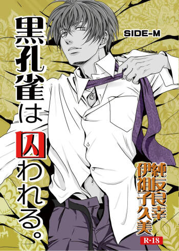 Black peacock captivity. SIDE-M cover