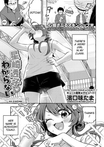 Hoshizaki Touko ga Wakaranai cover