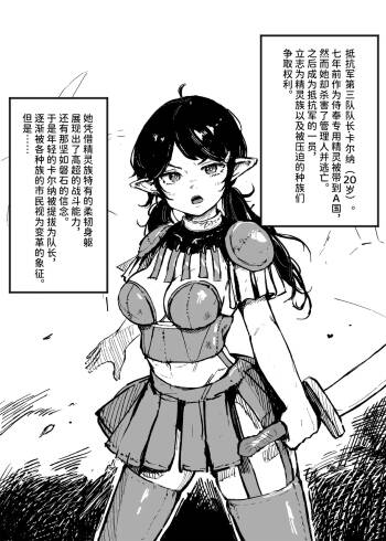 female warrior, female knight, slave ／ 女戦士の贖罪 cover