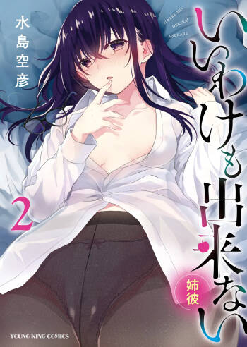 Iiwake mo Dekinai ~Ane Kare~ 2 cover
