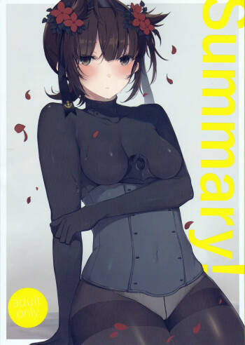 Summary cover