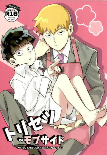 Torisetsu ~ Mob Side – Mob Psycho 100 dj cover