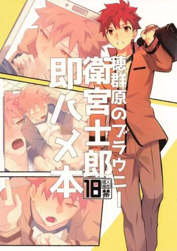 穂群原のブラウニー衛宮士郎即ハメ本 Chinese cover