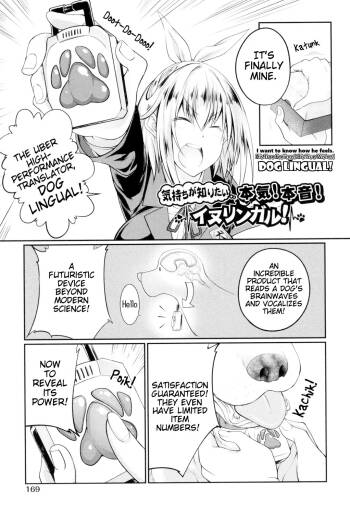 Kimochi ga Shiritai Honki! Honne! Inulingual! | I Want to Know How He Feels. His True Feelings! His True Wishes! Dog Lingual! cover