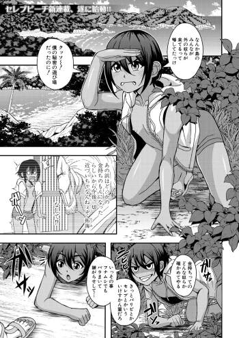 Celebrity Bitch & Sex Beach cover