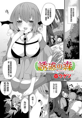 誘惑の森 cover