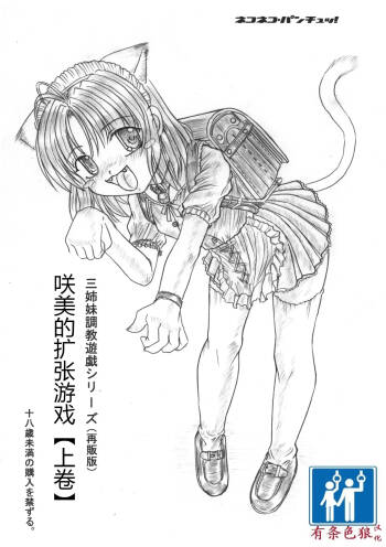 さくみの拡張遊戯 上巻 cover